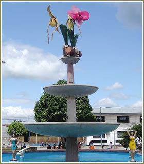 Nuevo arreglo en la Plaza de Moyobamba - Orquidea