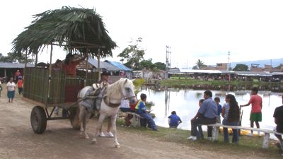 paseo en caballo ride in rustic carriage in the moyobamba fair