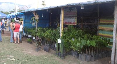 venta de plantas selvaticas - tropical plants for sale in Moyobamba Fair