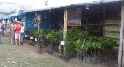 venta de plantas selvaticas - tropical plants for sale in Moyobamba Fair