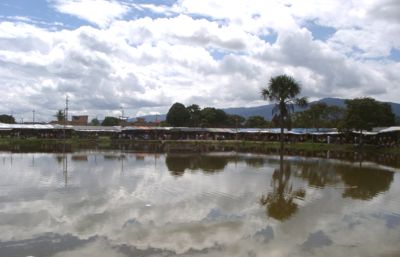Vista sobre laguna en el campo ferial de Moyobamba durante la feria
