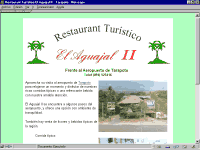 cheap web page design example El Aguajal II